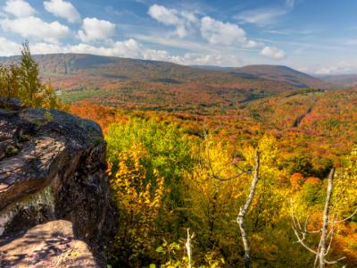 Catskills Ledge Peak Color Catskills Ledge Peak Color