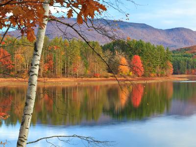 Cooper Lake Autumn Birch Cooper Lake Autumn Birch