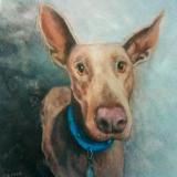Porter Waggoner Doberman