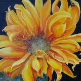 Seductive Sunflower III