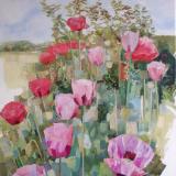 Garden Poppies, Paper and Acrylic