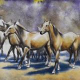 Dance of horses 2, 38cm x 56cm, 2020