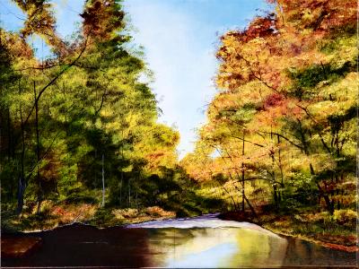 Autumn cove Autumn cove