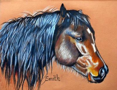 Little Wild Mustang Little Wild Mustang