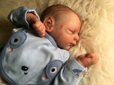  Reborn baby Boy ~ Elliot ~ ADOPTED/SOLD