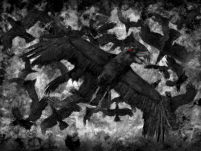 If my emotions were crows, there would be a murder If my emotions were crows, there would be a murder