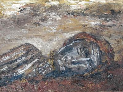 Tullandmannan bog man €350 Tullandmannan bog man €350