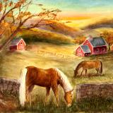 Horse Farm at Dawn