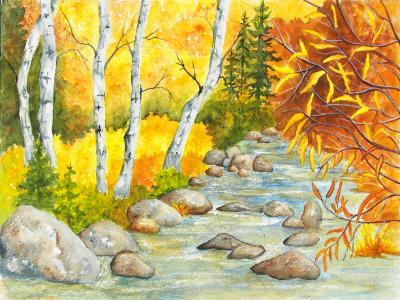 Taylor Creek Taylor Creek