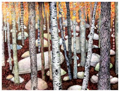 Magical Fall Forest