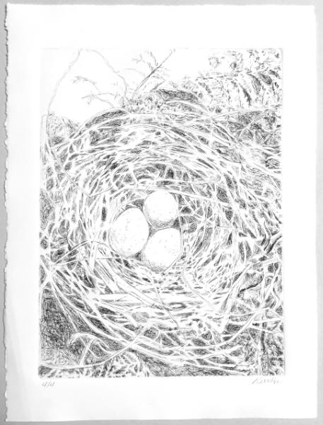 intaglio vs relief intaglio vs relief