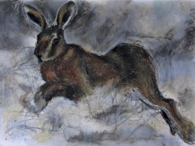 Leaping Hare