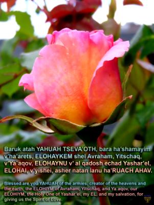 Blessing_Day4_Evening Blessing_Day4_Evening