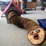 Hooty Puppet 2023