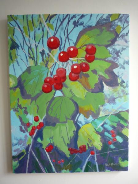 Guelder Rose berries at Bickleigh