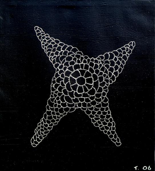 david's star fish