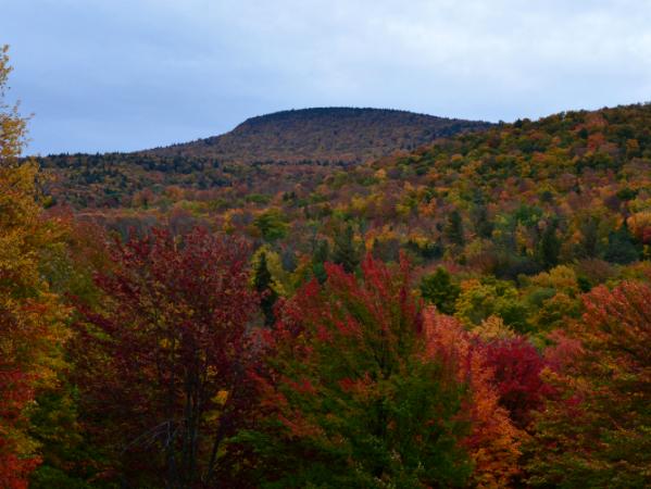 Autumn in the Catskills