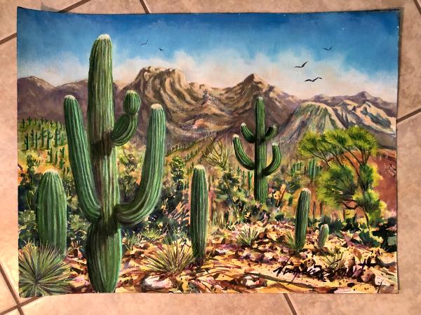 Saguaros, Desert plants and Mountains