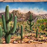 Saguaros, Desert plants and Mountains