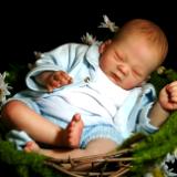 Reborn .Early Baby ~ Landon ~ ADOPTED/SOLD