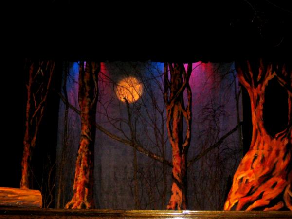 "Into The Woods," Woods