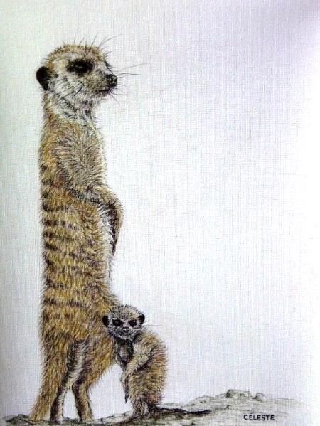 Meerkat mother and baby