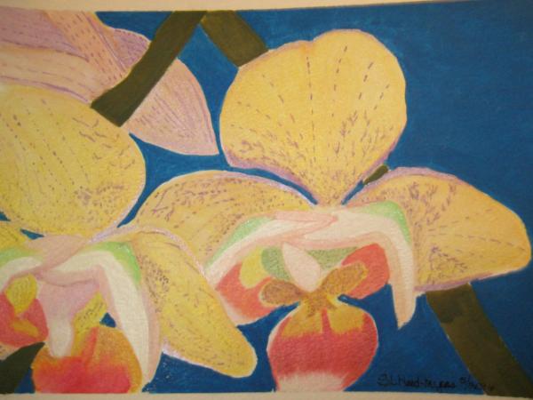 Bold Orchids
