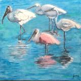 Wading birds