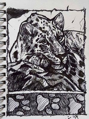 Leopard Leopard