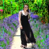 Monet's Lavender