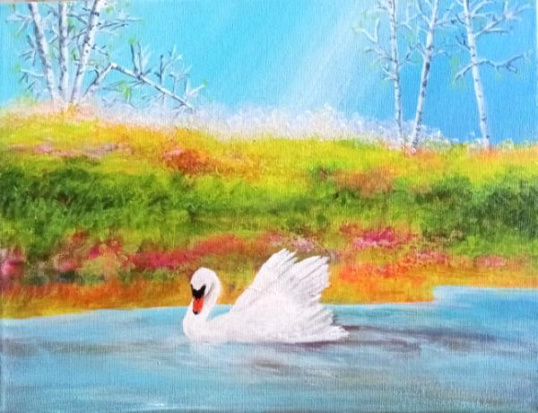 Swan Spring