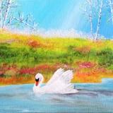 Swan Spring