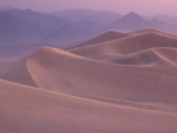 Morning Dunes - Death Valley