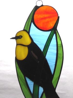 Yellow Headed Black Bird Yellow Headed Black Bird