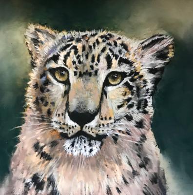Snow Leopard Snow Leopard