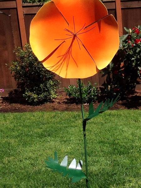 Tall California Poppy