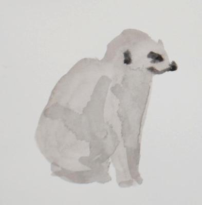 Meerkat Meerkat