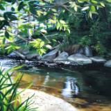 Bend in the  River  