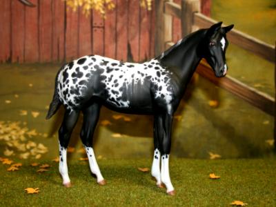Peter Stone - 'Weanling' Custom Order