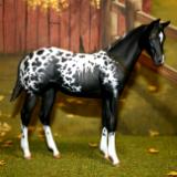 Peter Stone - 'Weanling' Custom Order