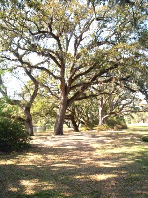 Brookgreen Gardens Brookgreen Gardens