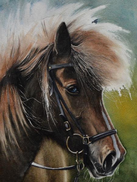 The beauty of the Viking (Icelandic) horse, 38cm x 28cm, 2020