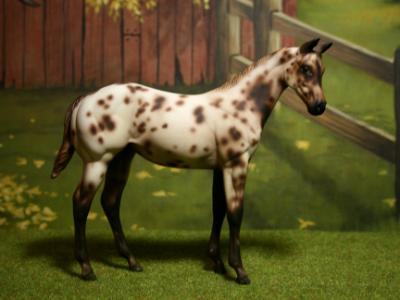 New! Custom P.S weanling ~ SOLD