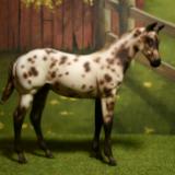 New! Custom P.S weanling ~ SOLD