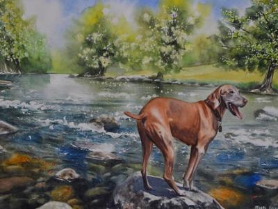 Il cane d´estate, 38cm x 56cm, 2020 Il cane d´estate, 38cm x 56cm, 2020