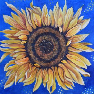 Sunflower Sunflower