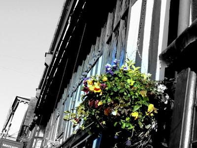 Shakespeare Tudor with Flower Basket