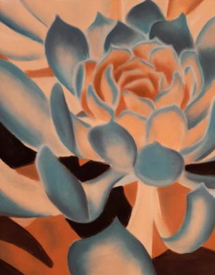 "Brown & Blue" "Brown & Blue"