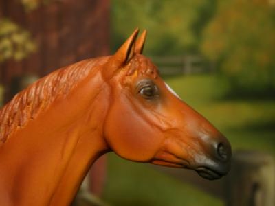 New! Custom Re-paint