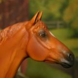 New! Custom Re-paint